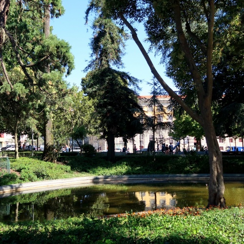 Porto Literário: 5 spots que os amantes de livros não podem perder